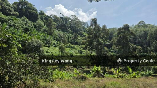 Kati, Kuala Kangsar Freehold Agricultural Land 6.1 Acres Agricultural Land