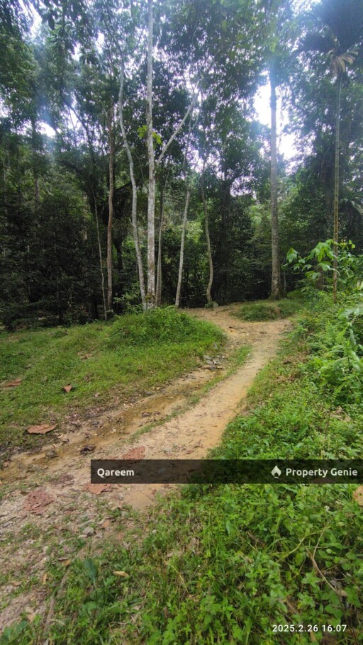 3.84 Ekar Dusun dan Sungai Jernih Cantik, Batang Kali