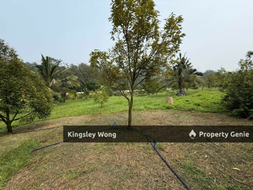 Jalong Tinggi Sg Siput Easy Entry with Asphalt Road 4 Acres Durian Orchard Farm