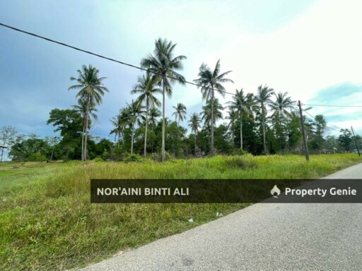 SEA FRONTAGE & Tepi Jalan Utama Sg Ular-Cherating, Kuantan