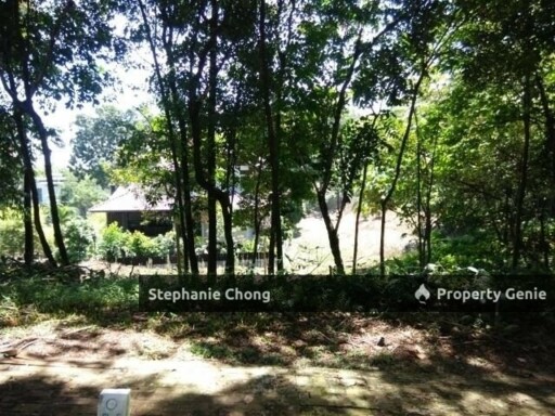 Freehold Bungalow Land in Exclusive Country Heights Damansara