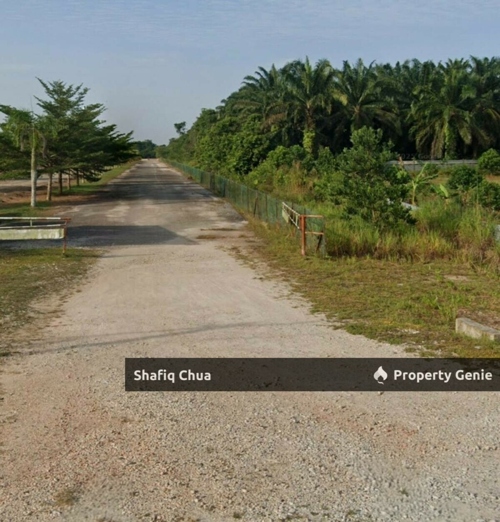 Land Kubang Panjang, Pekan Pahang For Sale