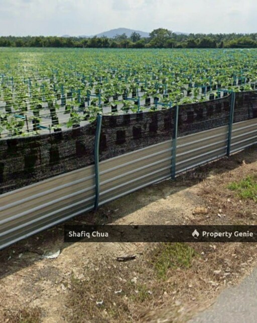 Agriculture Land Kampung Batang Rokan Gemencheh Negeri Sembilan
