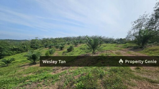 Durian Tunggal Below Value Oil Palm Approx 6.5acres land Freehold Road