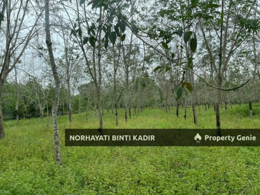 TANAH PERTANIAN KEBUN GETAH 7.5 EKAR DI PENOR