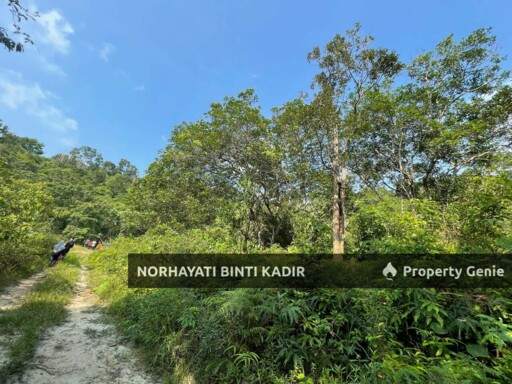 (HOT AREA) TANAH KEBUN DI BUKIT KUIN 2, KUANTAN