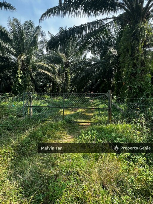Alor Gajah,Lendu