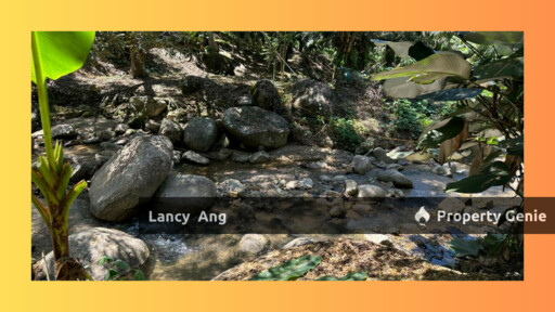 Main Road, Durian Form, Raub, Pahang