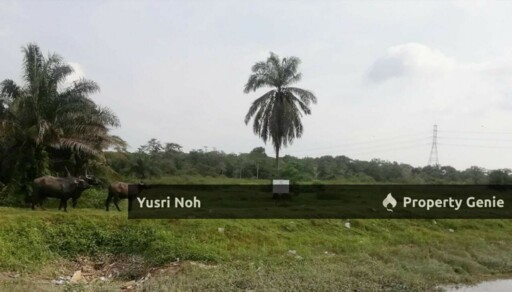 TANAH PERTANIAN DI MUKIM LABU