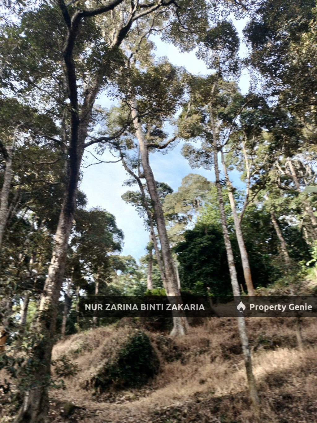 Dusun/Kebun/Orchard Durian untuk Di Jual, Kampung Jalan Bharu, Balik Pulau, Pulau Pinang