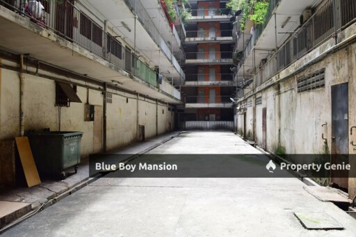 Blue Boy Mansion