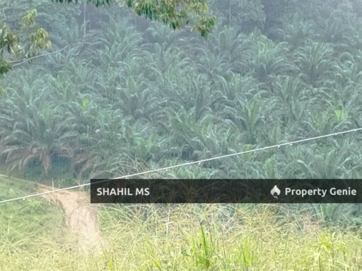 SEGAMAT JOHOR || LABIS || TANAH PERTANIAN || 1.3486 EKAR || RM125,000.