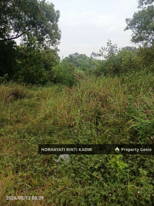 📍 TANAH LOT BANGLO CORNER LOT UNTUK DIJUAL – KG. TEBING TINGGI, SEBERANG BALOK, KUANTAN