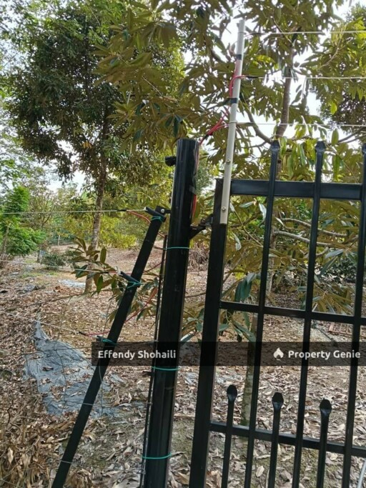 KUALA KLAWANG CHENOR AGRICULTURAL LAND