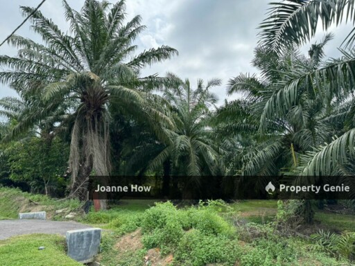 Roadside Oil Palm Land Asahan Nyalas Jasin For Sale