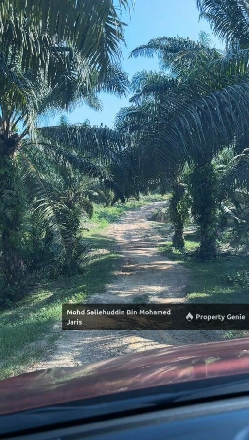 RTK BUKIT SAGU