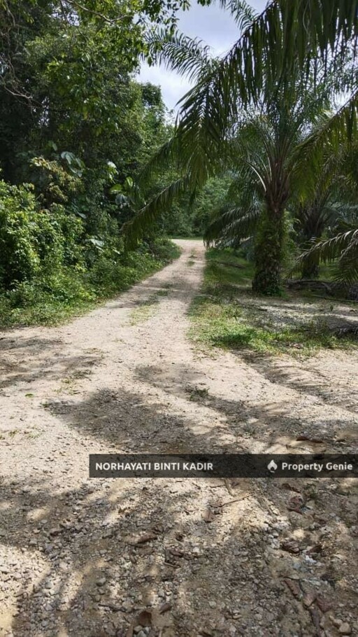 RTP BUKIT GOH