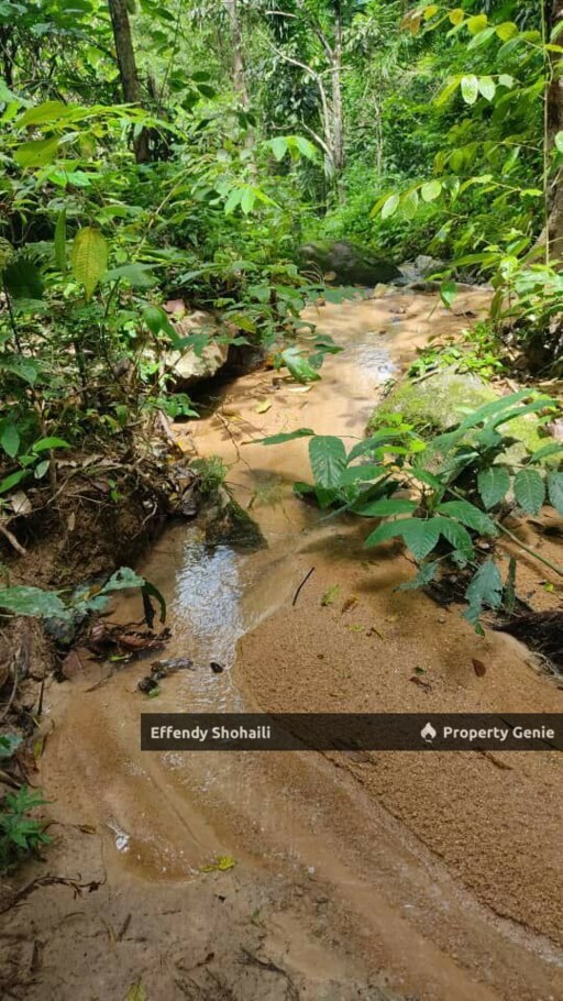 SERI MENANTI KUALA PILAH TANAH PERTANIAN