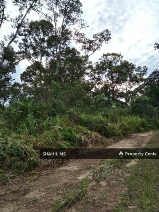sp0148 || GELANG PATAH JOHOR || KAMPUNG JELUTONG TENGAH || TANAH PERTANIAN || FREEHOLD || INTERNATIONAL LOT || 4.929 HEKTAR || RM21.5 JUTA