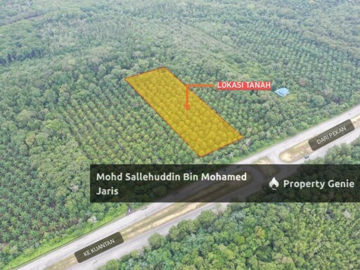 [FREEHOLD] TANAH PERTANIAN 2.5 EKAR TEPI JALAN UTAMA BYPASS KUANTAN-PEKAN