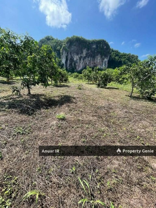 Semadong Bessri Perlis