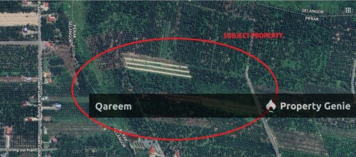 4.1 EKAR LADANG SAWIT PULAU GANDA SULI HUTAN MELINTANG PERAK