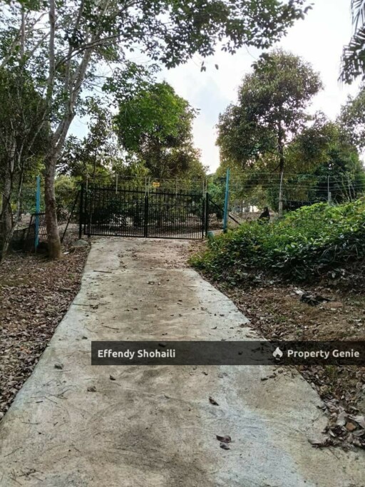 KUALA KLAWANG CHENOR AGRICULTURAL LAND