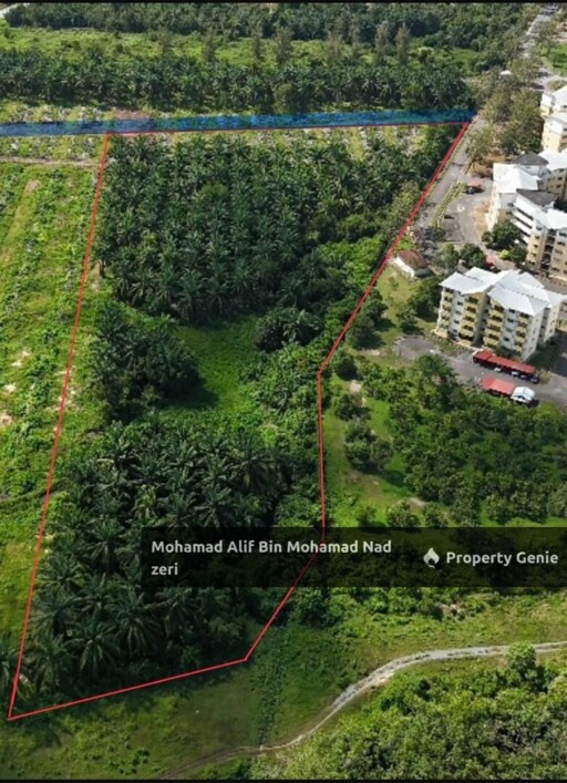 Tanah Ladang Kelapa Sawit untuk Di Jual | Geran Individu