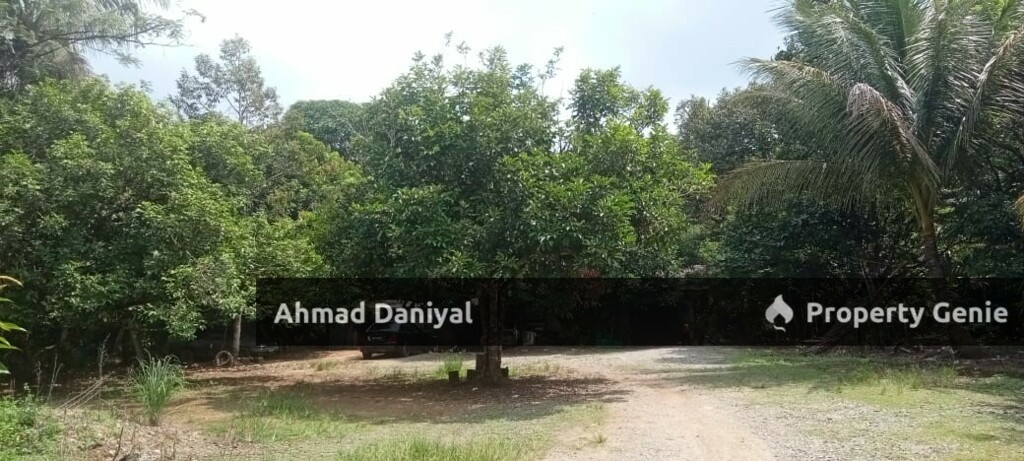 Oil Palm Land @ Ulu Cheka Jerantut Pahang For Sale