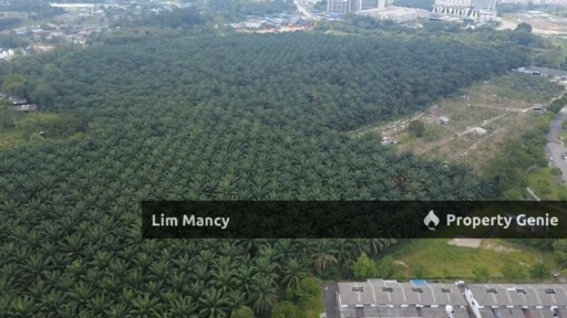 Gelang Patah / Pekan Nanas / Iskandar Puteri Agriculture Land