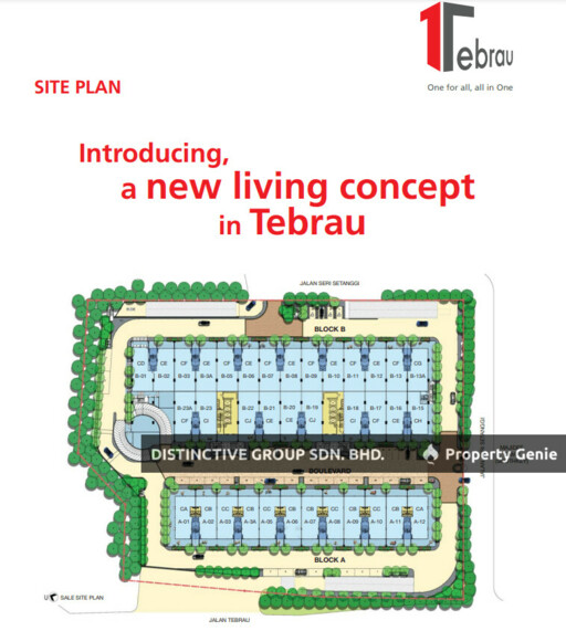 1Tebrau