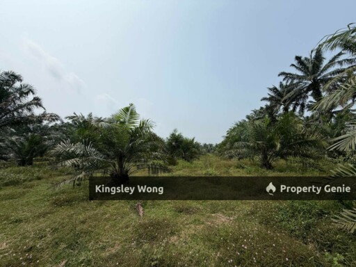 Sungai Siput 2 Acres Land Road Side Land Flat Land