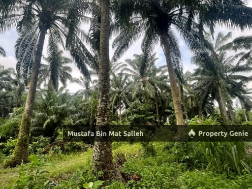 [Tanah Zon Kampung] Kg Air Melintas Besar, Tasek Gelugor