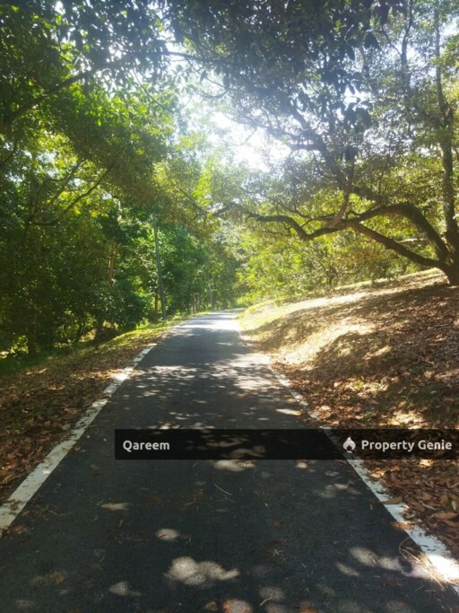 Dusun Durian Kampung Hulu Tamu Batang Kali