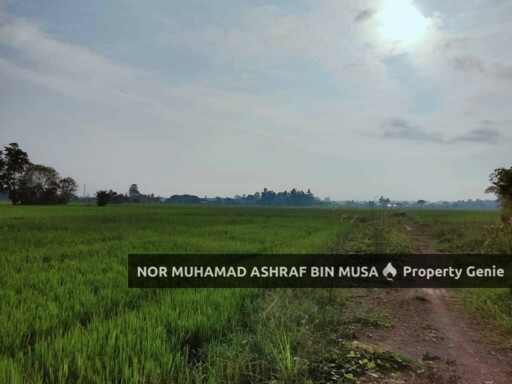 Tanah Sawah Alor Dahnan Kurong Batang Kangar Perlis