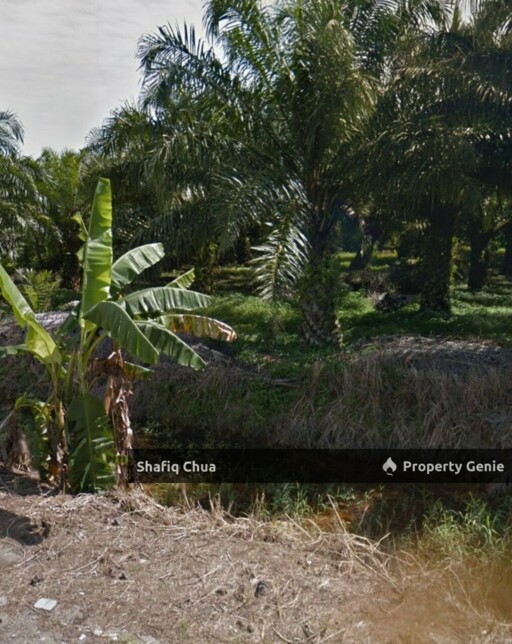 Agriculture Land Within Industrial Zone in Jalan Kereta Api Lama, Jeram