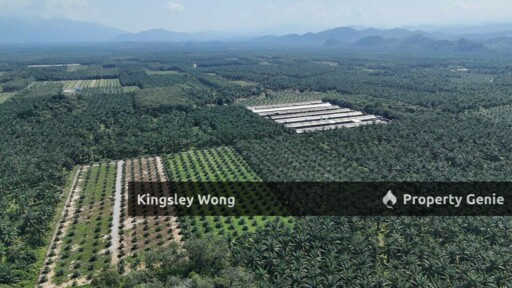 Sungai Siput RE road Freehold 11 Acres Agricultural Land Suitable Poultry farm