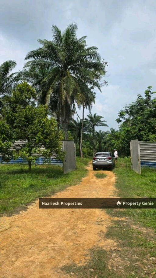 For Sale 17 Acres Durian Plantation Land Air Keroh Melaka