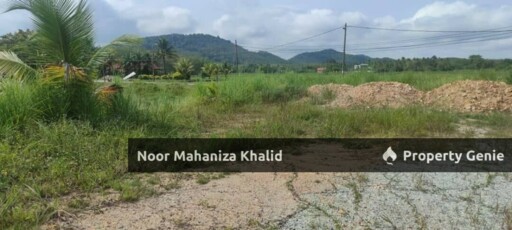 Tanah Pertanian Batu Tambun, Mukim Rambai Kedah
