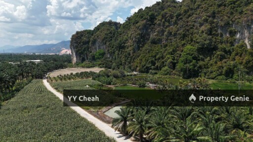 Kanthan Chemor, Ipoh. Agriculture Land 25 Acres