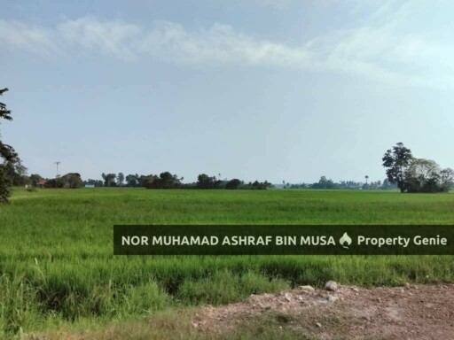 Tanah Sawah Alor Dahnan Kurong Batang Kangar Perlis