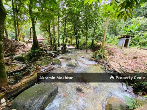 FREEHOLD & MALAY RESERVED | RESORT/CHALET : RIMBUNAN CHALET SUNGAI SENDAT ULU YAM BATANG KALI
