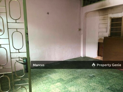 2 Storey Terrace @ Georgetown