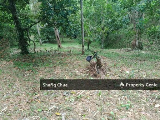 Beautiful Orchard Land for Sale in Ulu Melaka, Langkawi