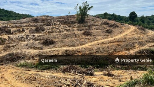 6 Ekar Pertanian Jln Ulu Yam Lama Bukit Beruntung Selangor.