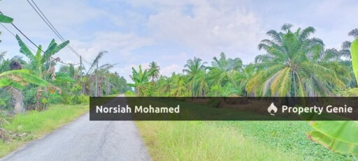 5.5 ekar Tanah Sawit Tepi Jalan, Freehold Rezab Melayu Bagan Datuk Perak