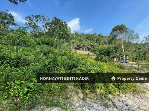 (HOT AREA) TANAH KEBUN DI BUKIT KUIN 2, KUANTAN