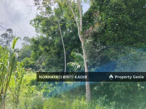 TANAH 13.8 EKAR BERHAMPIRAN JALAN RAUB-LIPIS