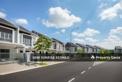 Begonia, Serene Heights