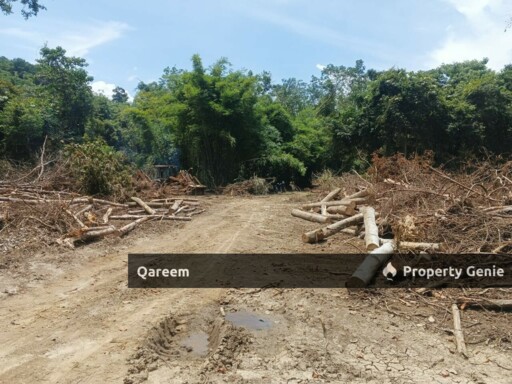 [FEEEHOLD] 3 Ekar Pekan Rasa, Sebelah Sungai. Batang Kali